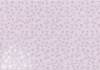 Cassis-L 33x47