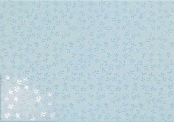 Cassis-T 33x47
