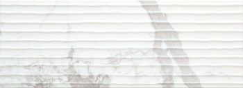 Citizen-B 33x91