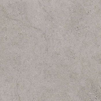 Evolution Grey/R 100x100