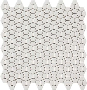 D.Mosaic Kin Ice 30.5x30.5