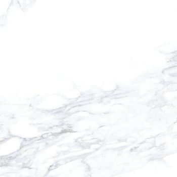 Calacatta 4D White/100x100/Nat/R