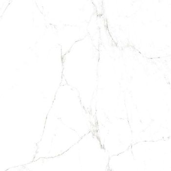 Fidias-B/P 60x60