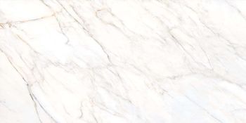 Gioia Silver/EP 60x120