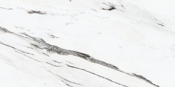 Statuario Plus White/60x120/EP