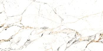 Tucci Gold/P 60x120