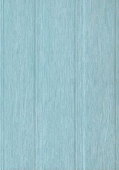 Salon-T 33x47
