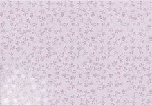 Cassis-L 33x47