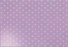 Nice-L 33x47