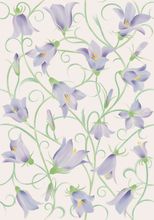 Nyons-L 33x47