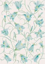 Nyons-T 33x47